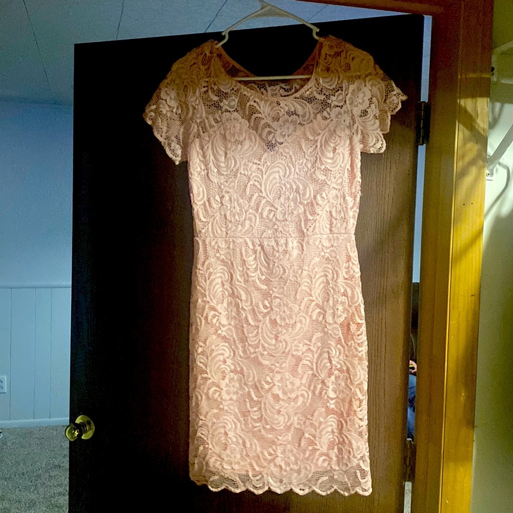 Ambiance Pink Floral Lace Dress Large Lined